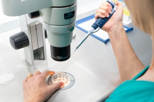 Tecniche di fecondazione in vitro omologa (FIVET, ICSI, IMSI)