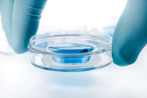 Fecondazione in vitro con donazione di gameti maschili e femminili