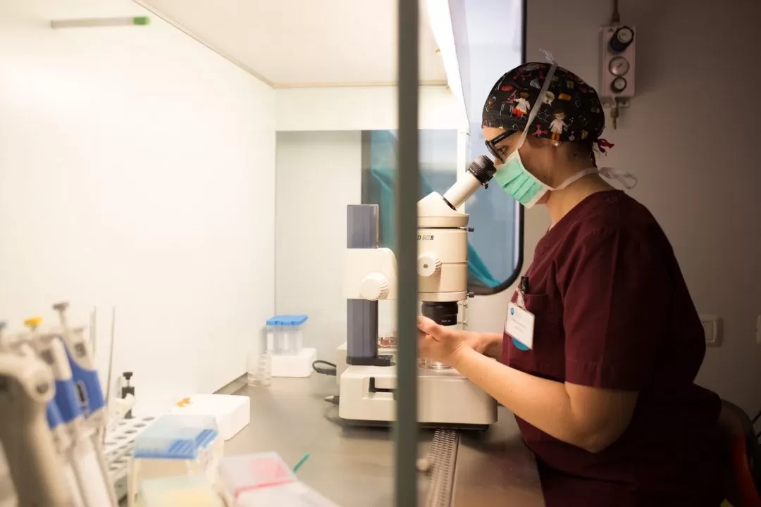 Diagnosi Genetica Preimpianto (PGD/PGS)